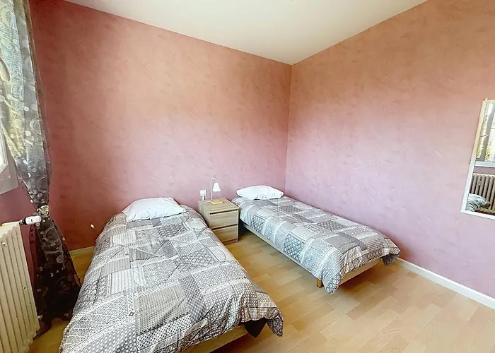 Confortable Proche Du Port Guillaume Pour 4 Avec Animaux Admis - Fr-1-465-125